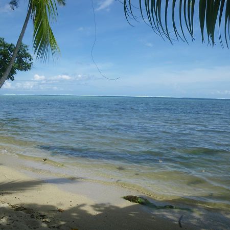 Justmoorea Location Haapiti Eksteriør bilde