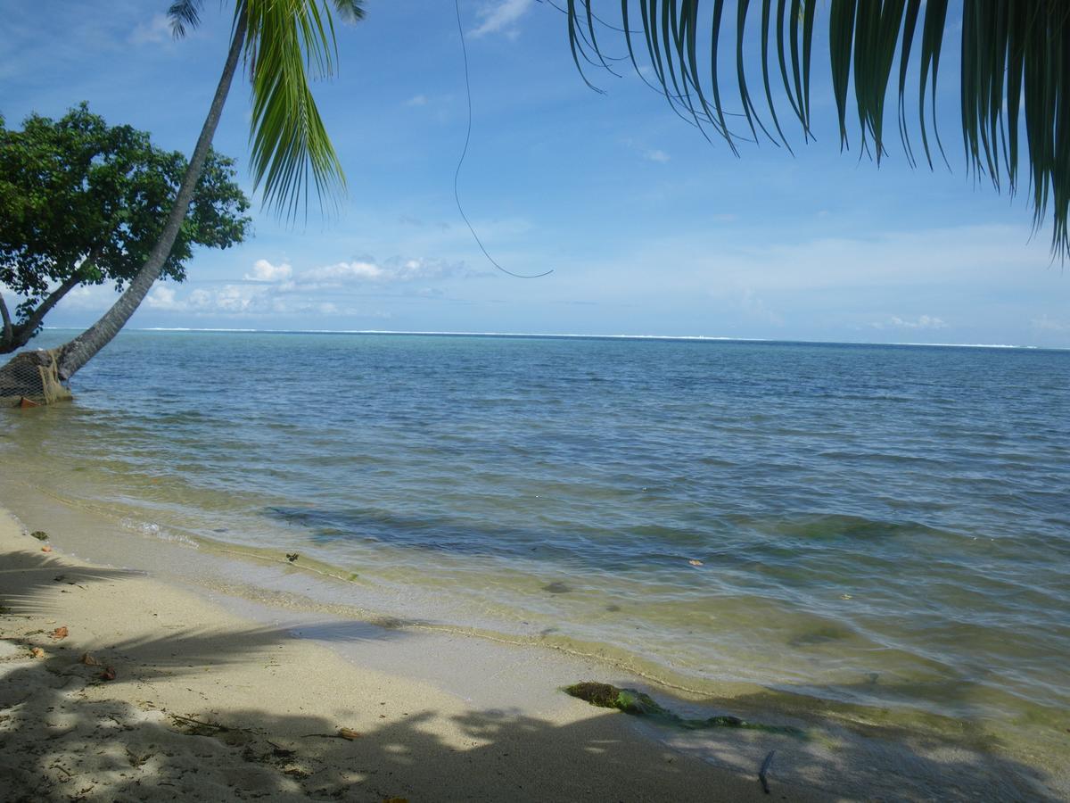 Justmoorea Location Haapiti Eksteriør bilde